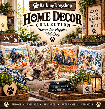 Home Decor