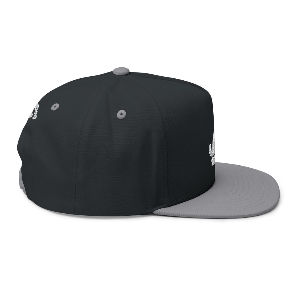 Embroidered Wag On Dog Lovers Flat Bill Cap