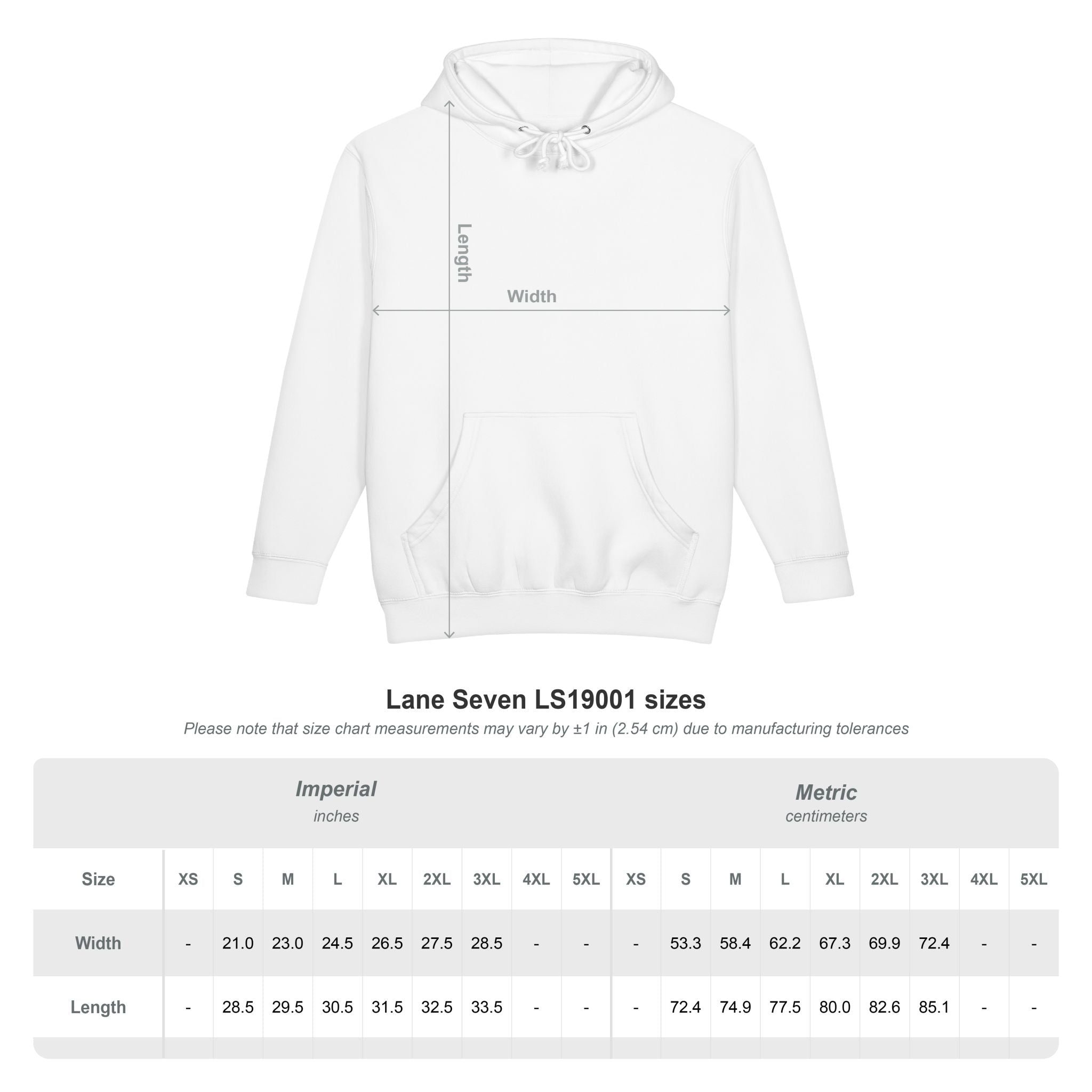 Water Dragon Chinese Zodiac Hoodie Mythical Dragon Graphic Heavyweight Sweatshirt Wag On BarkingDog Shop