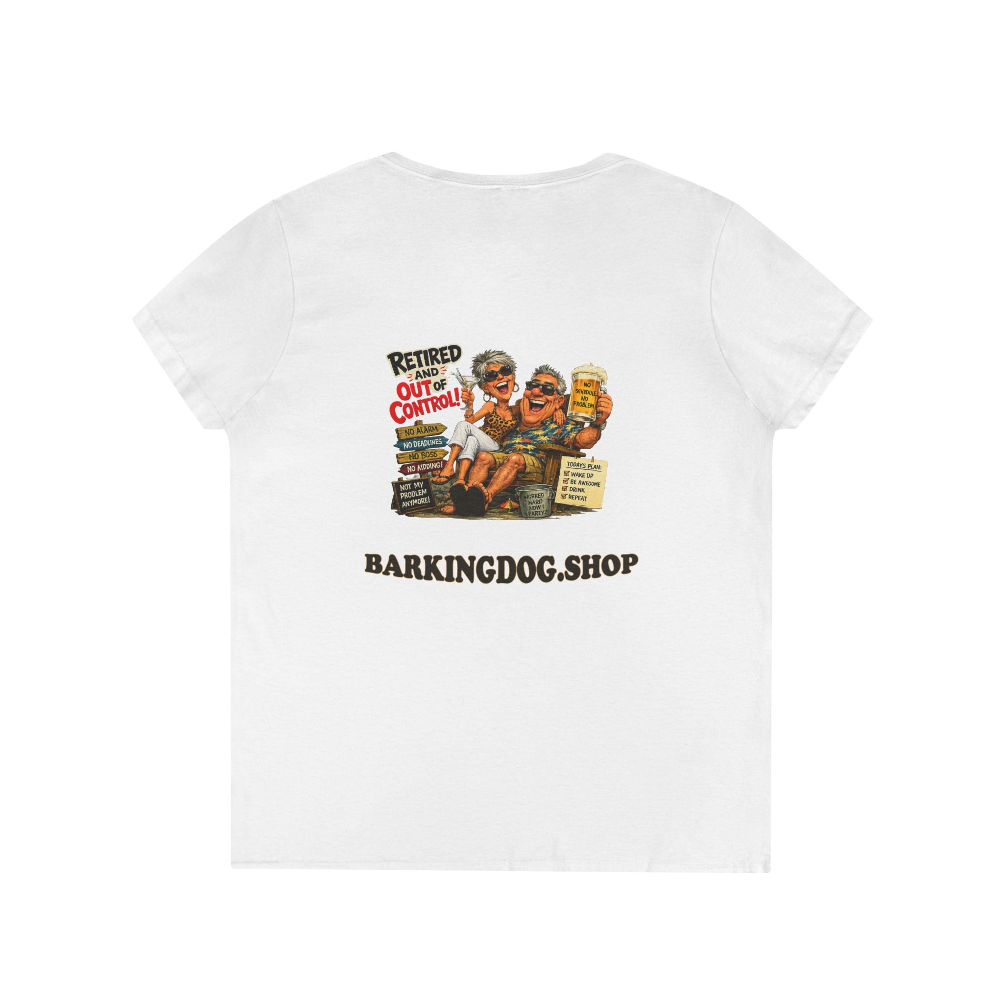 Ladies' V-Neck T-Shirt