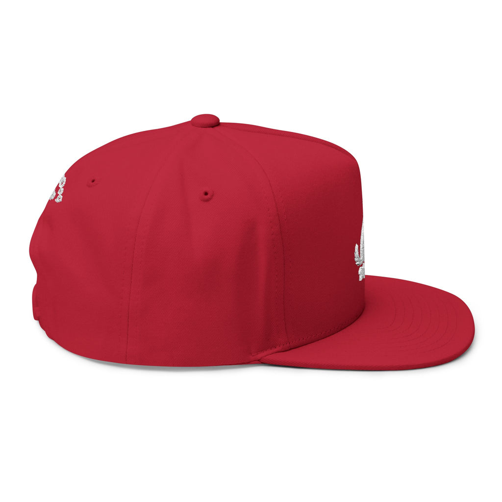Embroidered Wag On Dog Lovers Flat Bill Cap