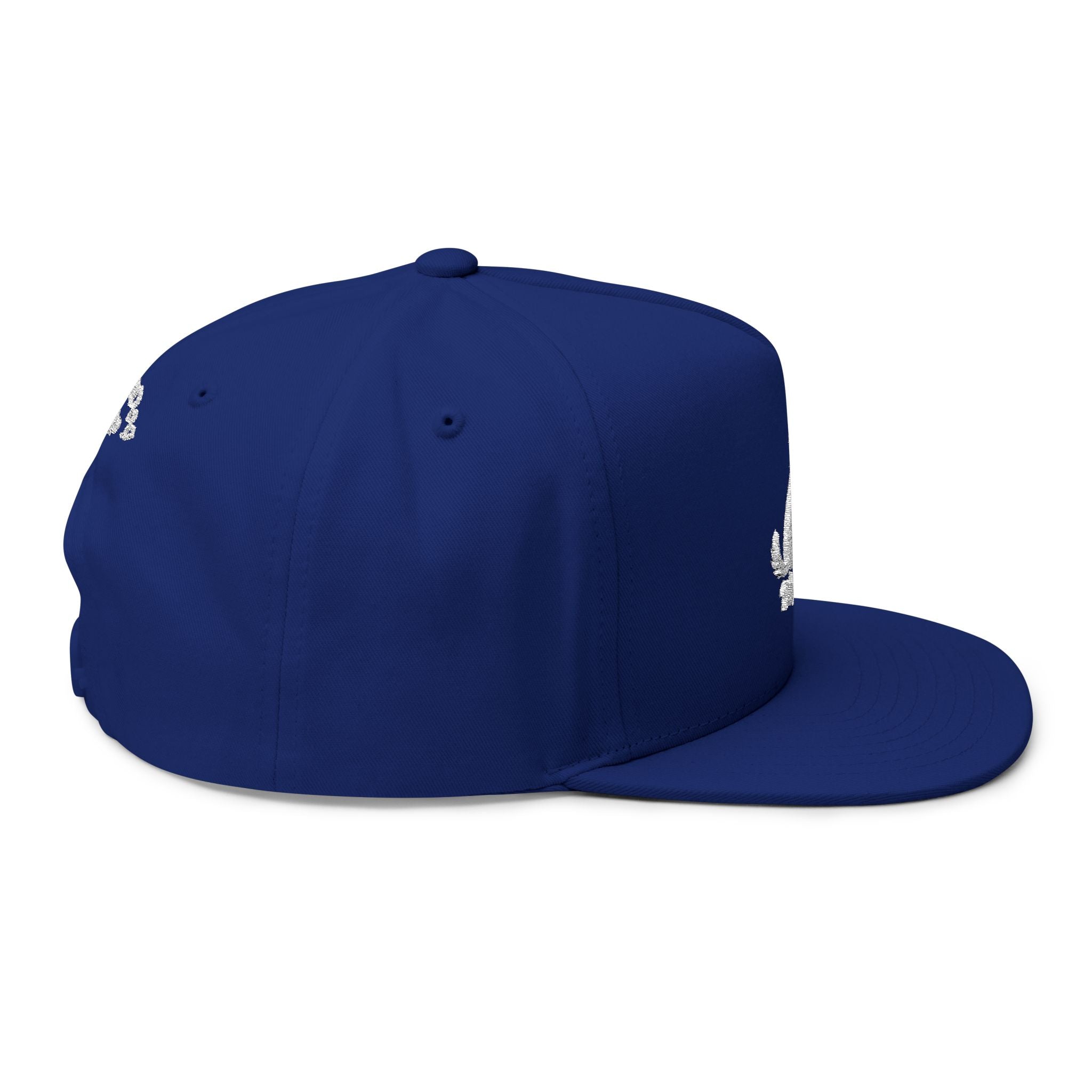 Embroidered Wag On Dog Lovers Flat Bill Cap