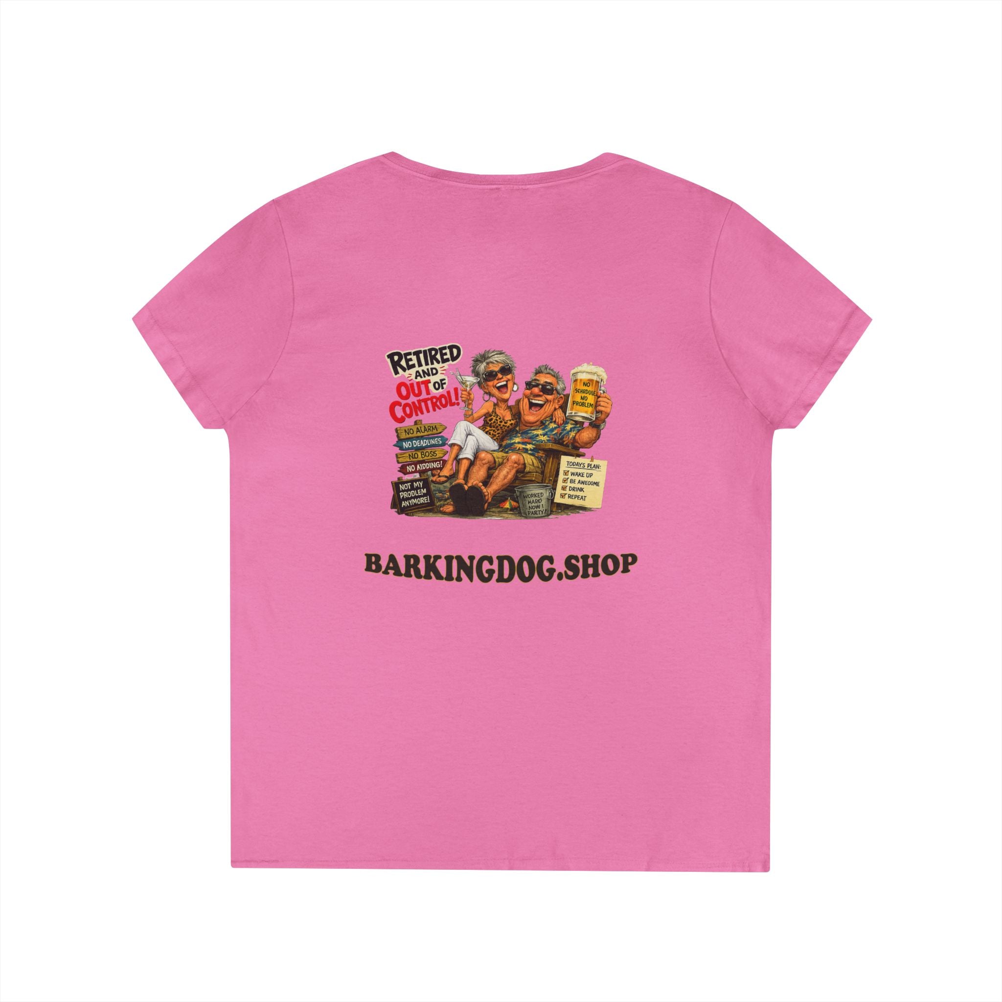 Ladies' V-Neck T-Shirt