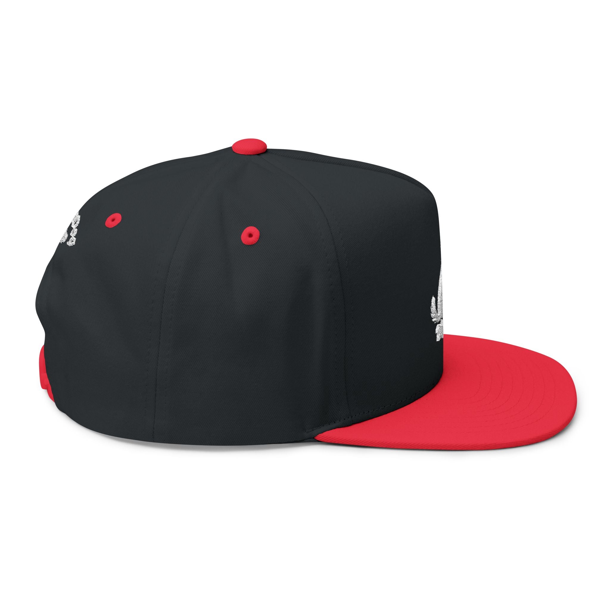 Embroidered Wag On Dog Lovers Flat Bill Cap