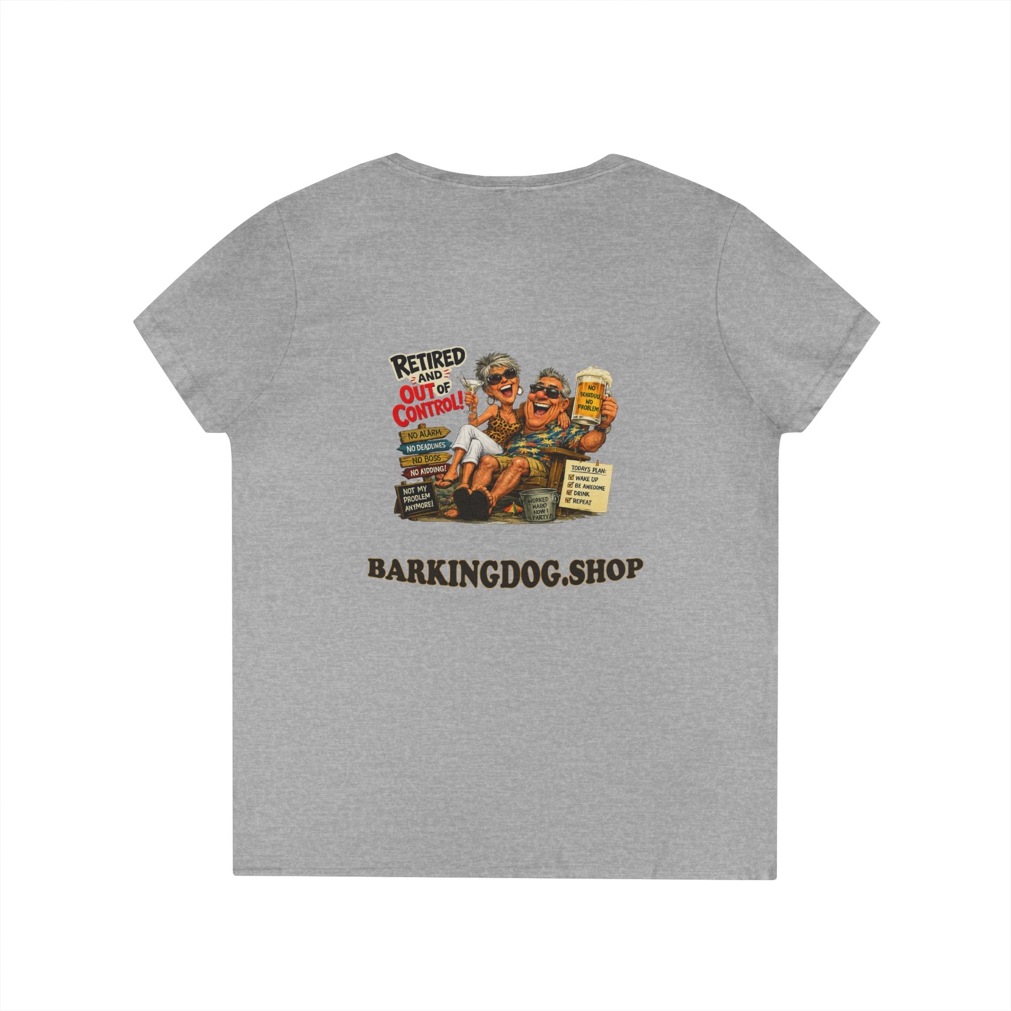 Ladies' V-Neck T-Shirt
