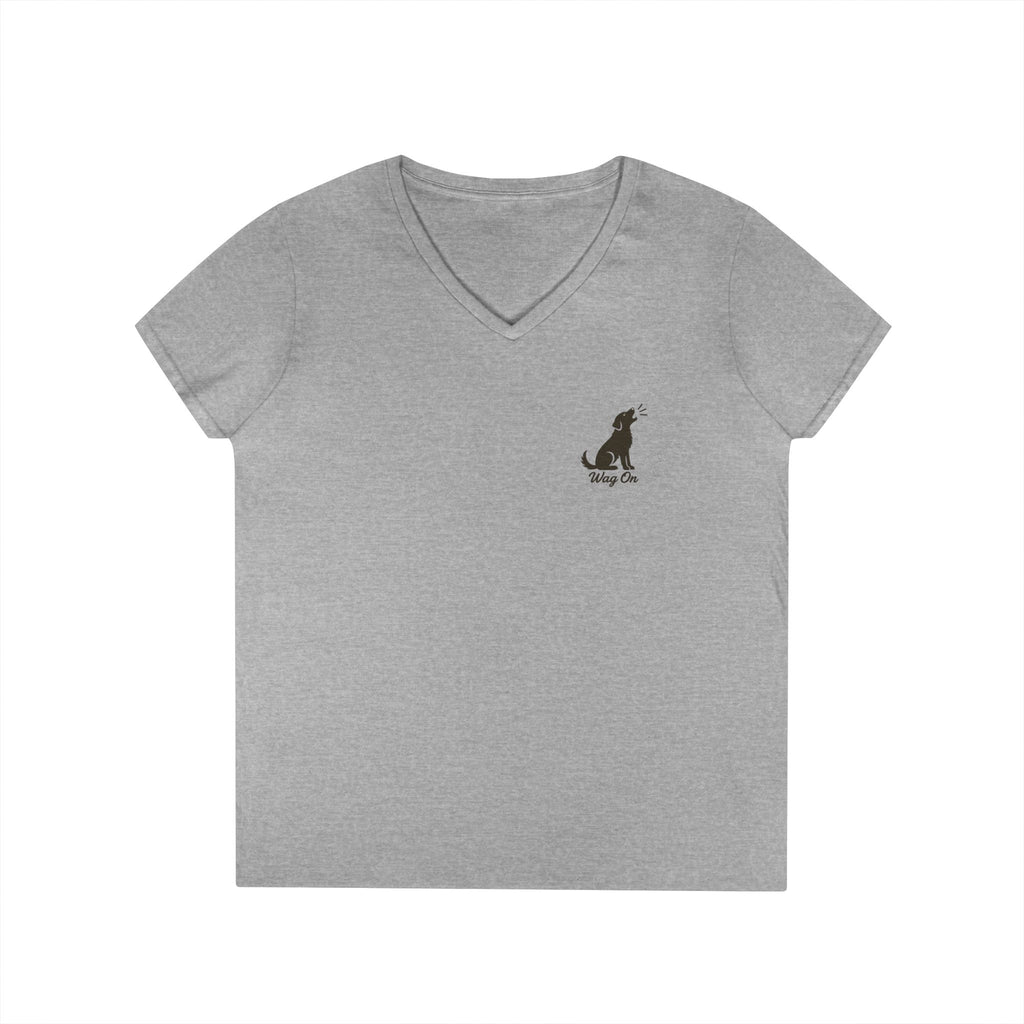 Ladies' V-Neck T-Shirt
